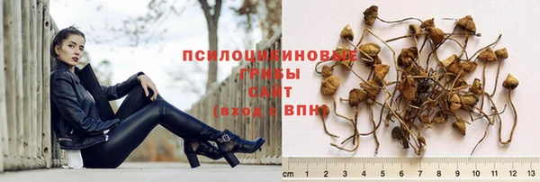 амфетамин Новокубанск