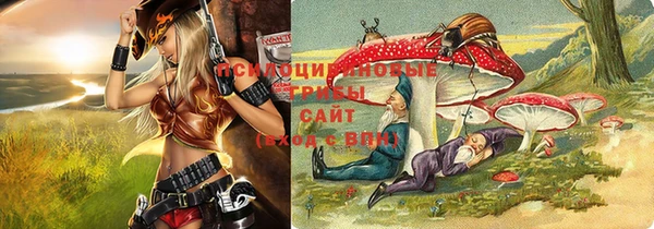 кокаин Новозыбков